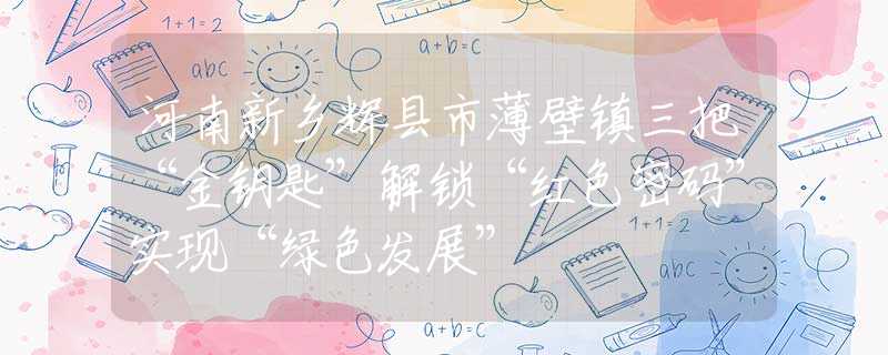 河南新鄉(xiāng)輝縣市薄壁鎮(zhèn)三把“金鑰匙”解鎖“紅色密碼”實(shí)現(xiàn)“綠色發(fā)展”
