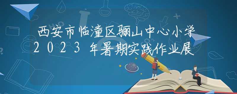 西安市臨潼區(qū)驪山中心小學(xué)2023年暑期實(shí)踐作業(yè)展