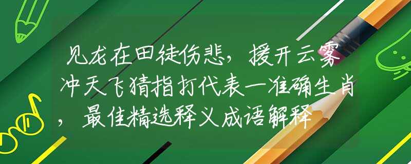 見龍在田徒傷悲，援開云霧沖天飛猜指打代表一準確生肖,最佳精選釋義成語解釋