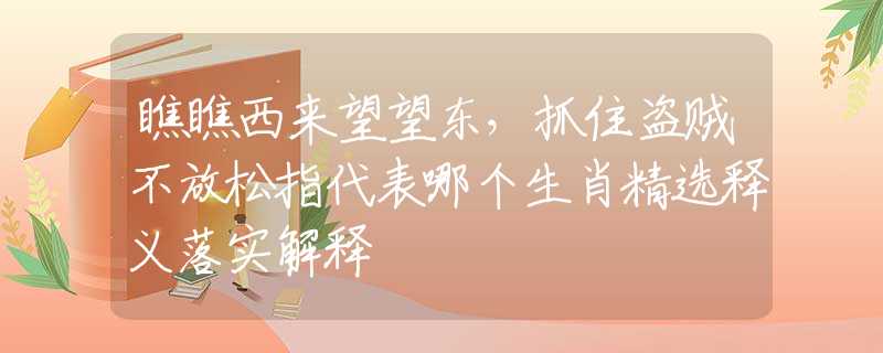 瞧瞧西來望望東，抓住盜賊不放松指代表哪個生肖精選釋義落實解釋