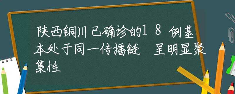 陜西銅川已確診的18例基本處于同一傳播鏈 呈明顯聚集性