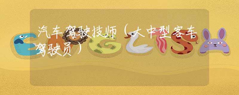 汽車(chē)駕駛技師（大中型客車(chē)駕駛員）